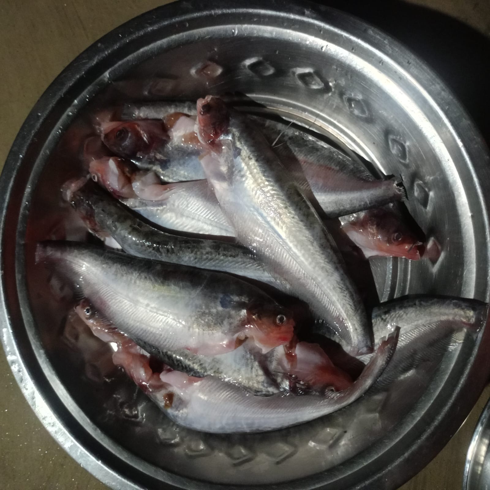 Fresh raw fish for Bengali Macher Jhol